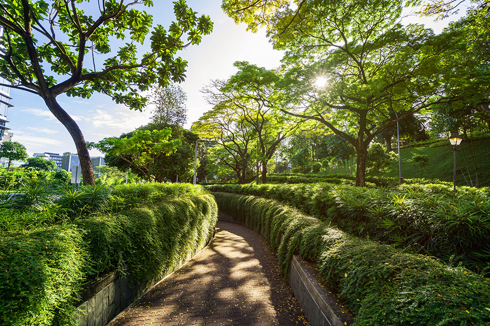 beautiful-walkway-at-fort-canning-park-in-singapore